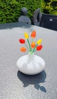 Tulp